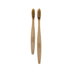 Boar Bristle Toothbrushes Plastic Free