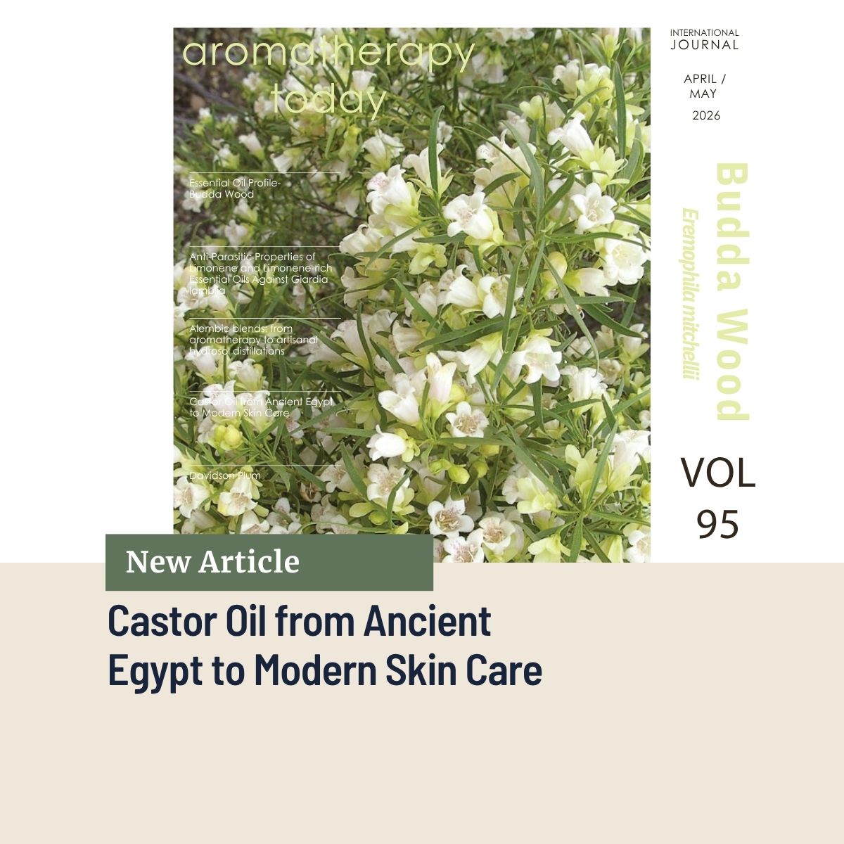 Castor Oil from Ancient Egypt to Modern Skin care