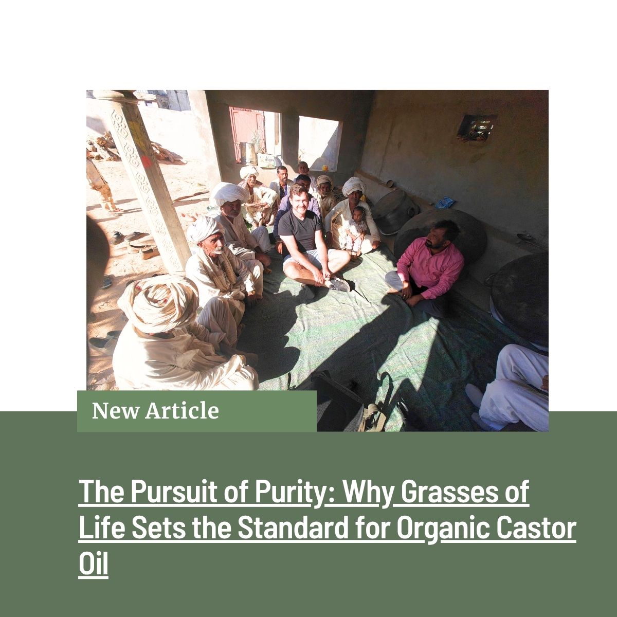 The Pursuit of Purity Why Grasses of Life Sets the Standard for Organic Castor Oil